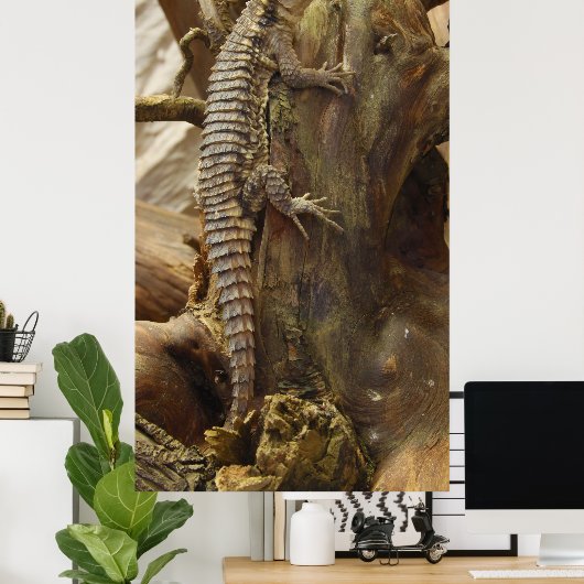 トカゲ ポスター (ホームオフィス)