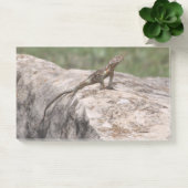 トカゲ ポストイット (オフィス)