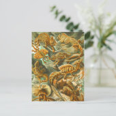 トカゲ ポストカード (スタンド正面)