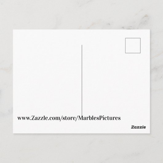 トカゲ ポストカード (裏面)