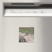 トカゲ マグネット (インサイチュ (食洗機))