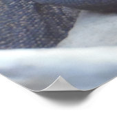 トカゲ・爬虫類・呉服龍自然壁ポスター ポスター (角)