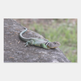 トカゲ 長方形シール