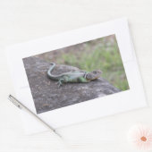 トカゲ 長方形シール (封筒)