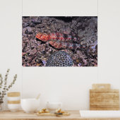 トカゲII ポスター (キッチン)