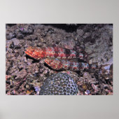 トカゲII ポスター (正面)