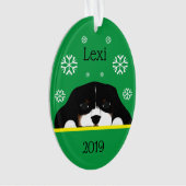 トカスタムリカラーカバリエキングチャールズグリーンオーバル オーナメント (正面)