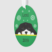 トカスタムリカラーカバリエキングチャールズグリーンオーバル オーナメント (正面)