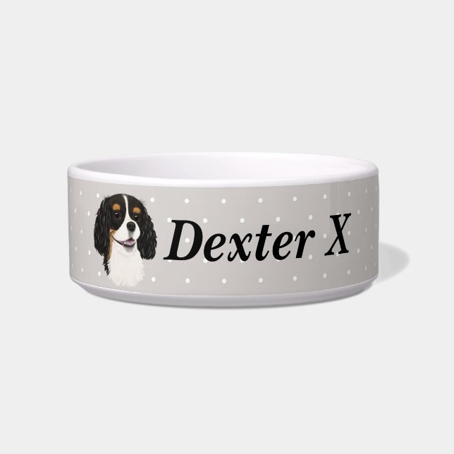 トカスタムリカヴァリエキングチャールズスパニエル犬   ボウル (正面)