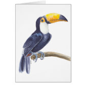 トカン、熱帯鳥 (正面)