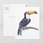 トカン、熱帯鳥 ポストカード (正面/裏面)