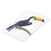 トカン、熱帯鳥 マグネット (左側)