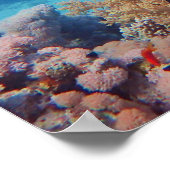 トガーフィッシュはサンゴ礁のサンゴの塊に乗っている | ポスター (角)