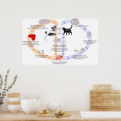 トキソプラズマ・ゴンディのライフサイクル図 ポスター (キッチン)