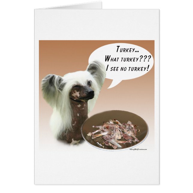 トキ中国のコ (正面)