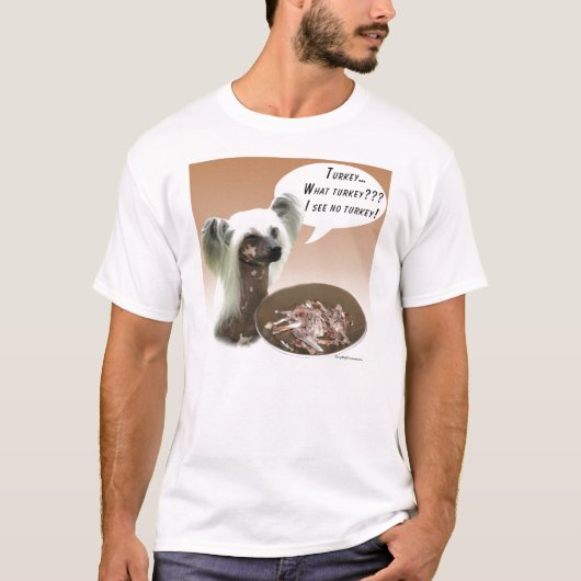 トキ中国のコ Tシャツ (正面)