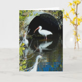 トキ亜科およびSnowy白鷺の挨拶状 カード (黄色い花)