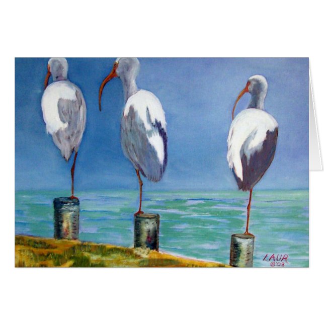 トキ亜科のデザイン (正面横)