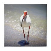 トキ亜科の白い支柱 タイル (正面)