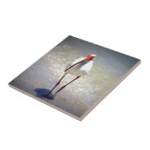 トキ亜科の白い支柱 タイル (側面)