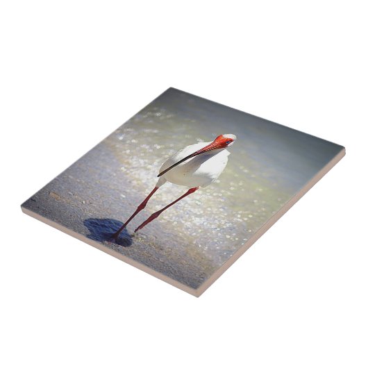 トキ亜科の白い支柱 タイル (側面)