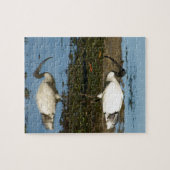 トキ亜科 ジグソーパズル (横)