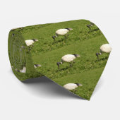 トキ亜科 ネクタイ (ロール)