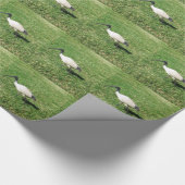 トキ亜科 ラッピングペーパー (角)