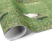 トキ亜科 ラッピングペーパー (ロールコーナー)