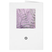 トクサの草か茎カード (裏面)