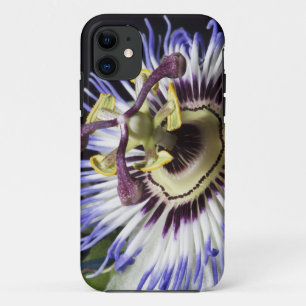 トケイソウのクローズアップ (MR) iPhone 11 ケース