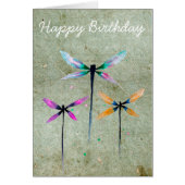 トゲかわいらしバエの水色は素朴 (正面)