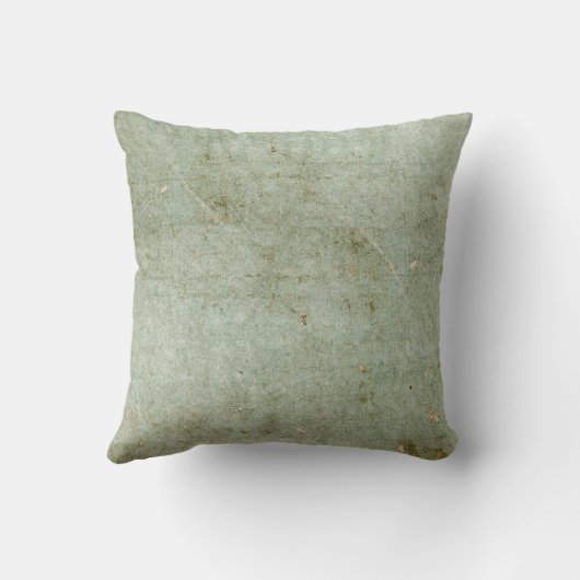 トゲかわいらしバエの水色は素朴 クッション (裏面)