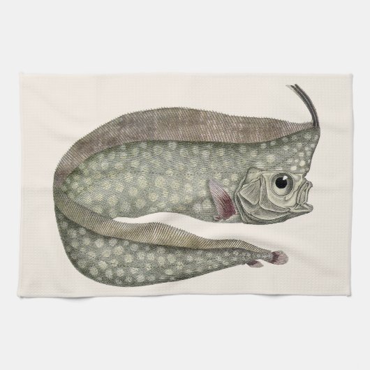 トゲウミヘビ, レトロな海洋生物のイラスト キッチンタオル (横)