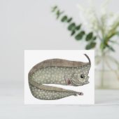 トゲウミヘビ, レトロな海洋生物 (スタンド正面)