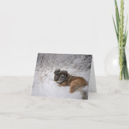 トゲザネスホリデー シーズンカード