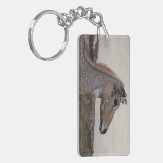 トゲモゲモドキ キーホルダー (正面左)