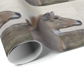 トゲモゲモドキ ラッピングペーパー (ロールコーナー)