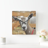 トゲンブルク乳牛 スクエア壁時計 (ホーム)