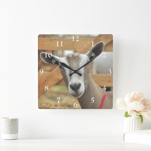 トゲンブルク乳牛 スクエア壁時計 (ホーム)