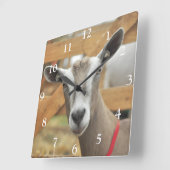 トゲンブルク乳牛 スクエア壁時計 (傾斜)