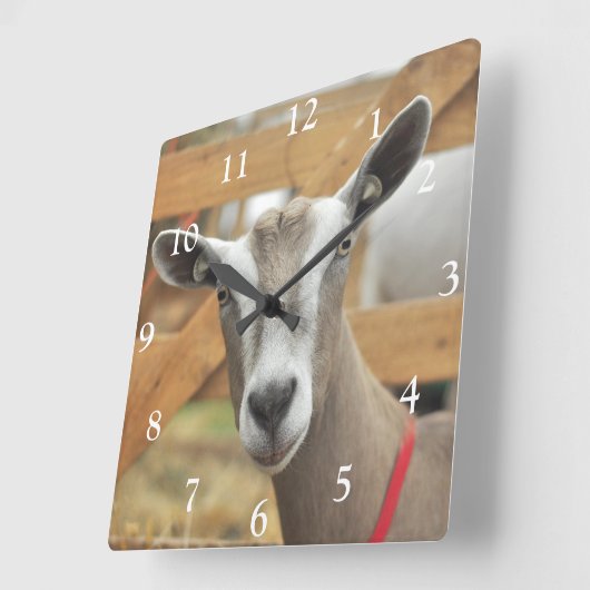 トゲンブルク乳牛 スクエア壁時計 (傾斜)