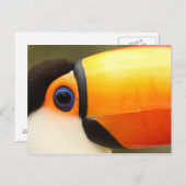 トコトウカン(ランファストトコ)は最大 ポストカード (正面/裏面)