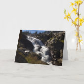 トコパ滝IIアットセコイア国立公園 カード (黄色い花)