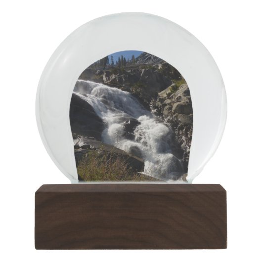 トコパ滝IIアットセコイア国立公園 スノーグローブ (正面)