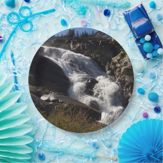 トコパ滝IIアットセコイア国立公園 ペーパープレート (パーティー)