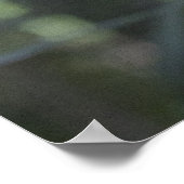 トコ・トゥーカンのポスター ポスター (角)