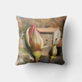 トスカナ式の秋は上がりました。 タスカニー クッション (裏面)