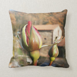 トスカナ式の秋は上がりました。 タスカニー クッション