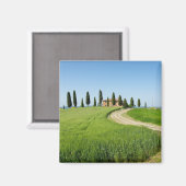 トスカニーにヒノキの木があるファームヴィラ マグネット (正面/裏面)